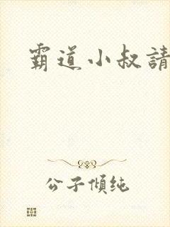 霸道小叔请轻撩