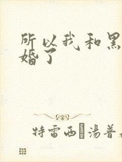 所以我和黑粉结婚了