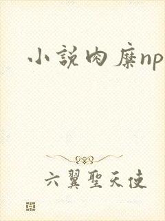 小说肉糜np