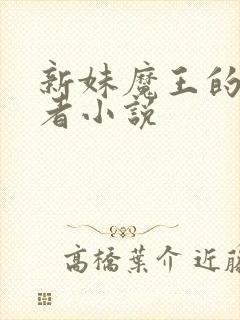 新妹魔王的契约者小说