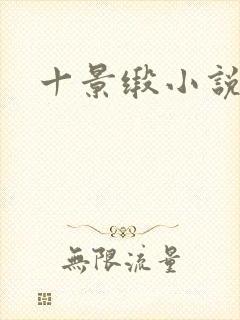十景缎小说