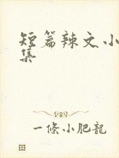 短篇辣文小说合集