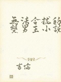 无法合拢的总裁双男主小说