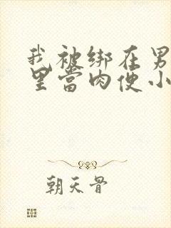 我被绑在男公厕里当肉便小说