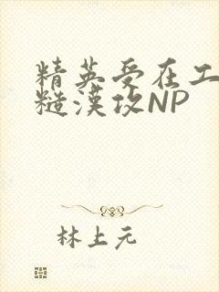 精英受在工地被糙汉攻NP