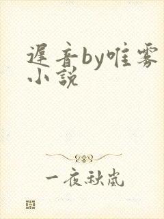 迟音by唯雾的小说