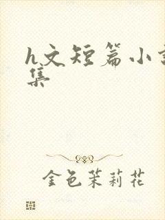 h文短篇小说合集