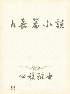 h长篇小说