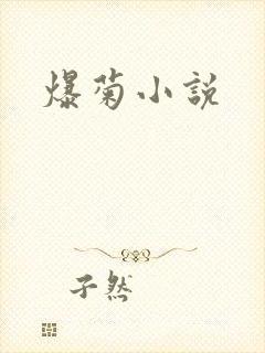 爆菊小说