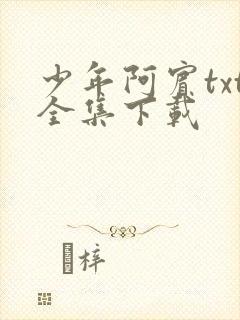 少年阿宾txt全集下载