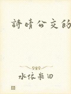 诗晴公交的小说