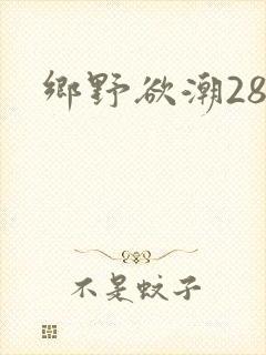 乡野欲潮28章