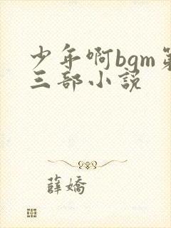 少年啊bgm第三部小说