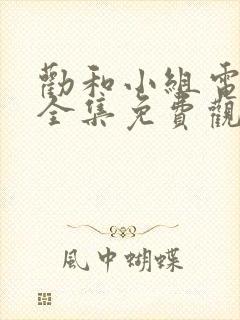 劝和小组电视剧全集免费观看封面