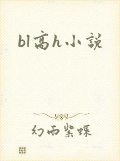 bl高h小说