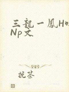 三龙一凤H啪肉Np文