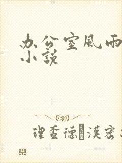 办公室风雨完整小说