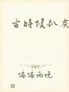 古时候扒灰小说