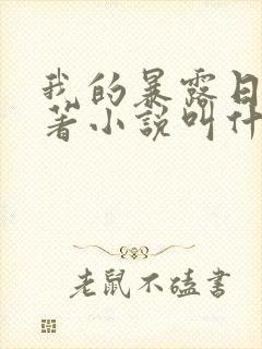 我的暴露日记原著小说叫什么