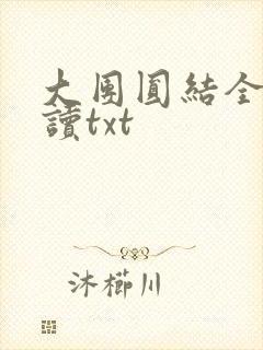 大团圆结全文阅读txt