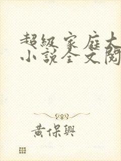 超级家庭大杂烩小说全文阅读