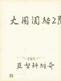 大团圆结2阅读
