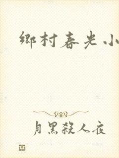 乡村春光小说
