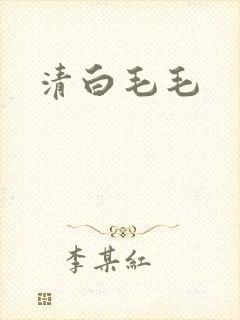 清白毛毛