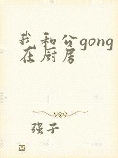 我和公gong在厨房