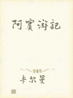 阿宾游记