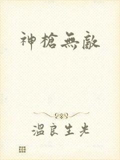 神枪无敌