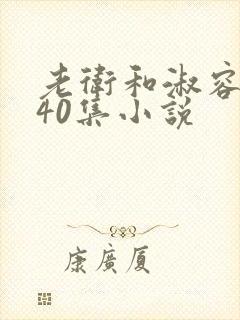 老卫和淑容1-40集小说