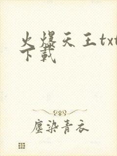 火爆天王txt下载
