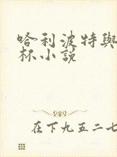 哈利波特与火焰杯小说