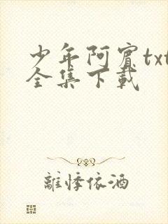 少年阿宾txt全集下载