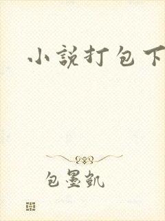 小说打包下载