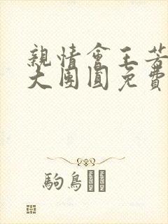 《亲情会王芳高敏大团圆免费阅读》小说封面