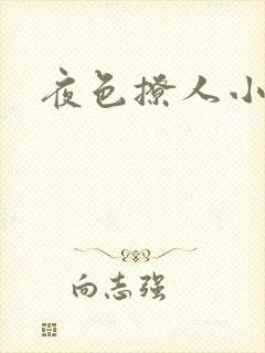 夜色撩人小说