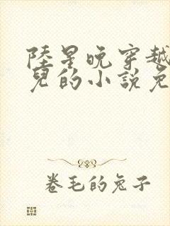 陆星晚穿越成婴儿的小说免费阅读全文