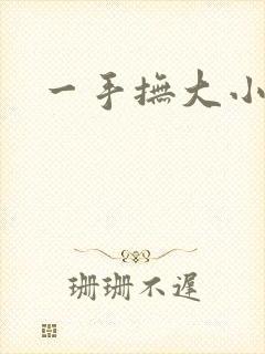 一手抚大小说