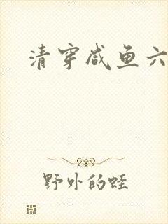 清穿咸鱼六皇子