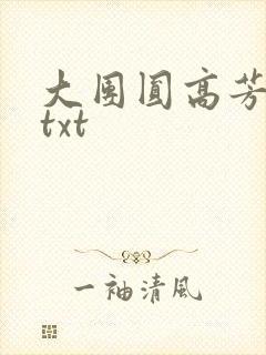 大团圆高芳小说txt