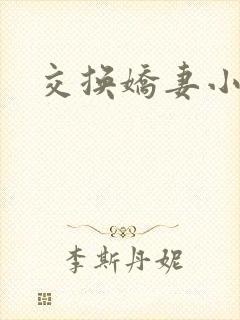 交换娇妻小说