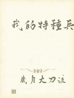 我的特种兵男友