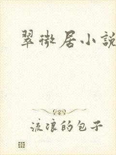 翠微居小说
