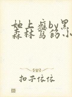 她上瘾by黑暗森林写的小说免费阅读无弹窗