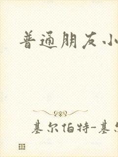 普通朋友小说