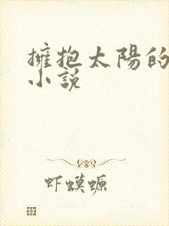 拥抱太阳的月亮小说