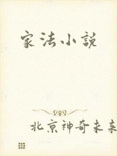 家法小说