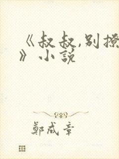 《叔叔,别撩我》小说